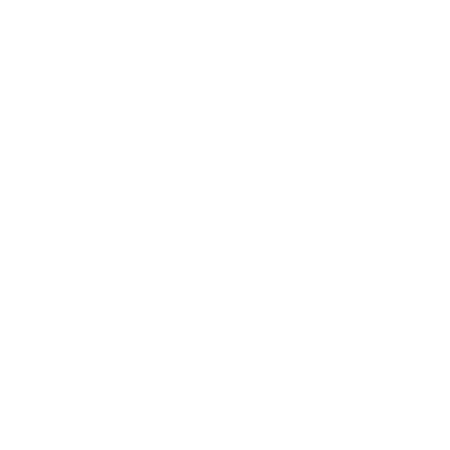 CSS Logo