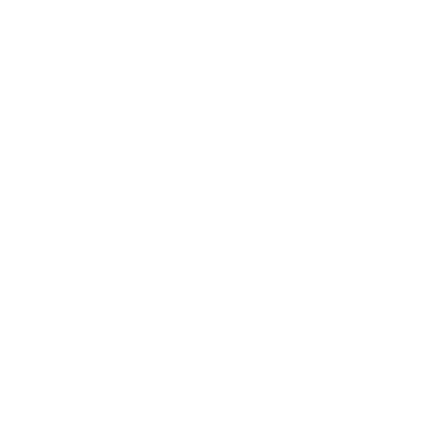 HTML Logo